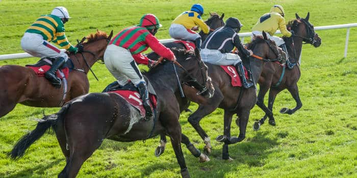 AGCO Reaches Settlement with Woodbine Referring to Racehorse Incidents