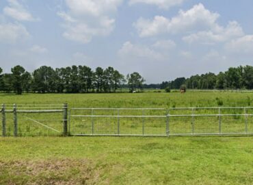 Man stumbled on ineffective in a wallaby and kangaroo enclosure in South Carolina