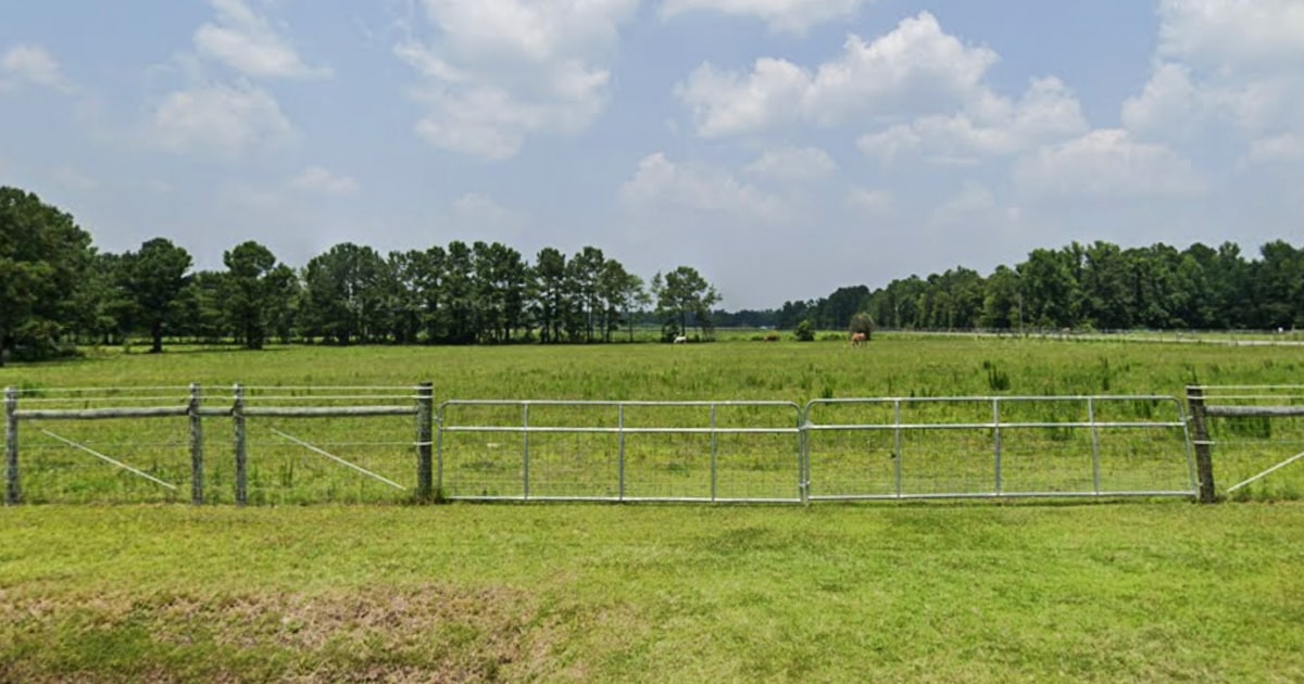 Man stumbled on ineffective in a wallaby and kangaroo enclosure in South Carolina