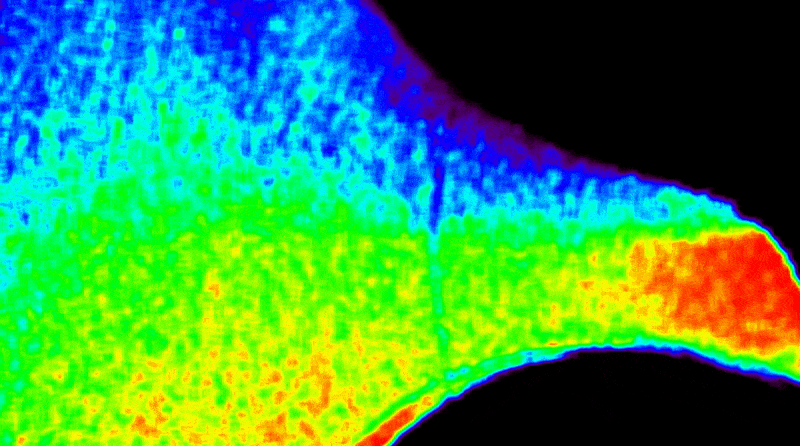 NASA’s CODEX Captures Outlandish Views of Sun’s Outer Atmosphere